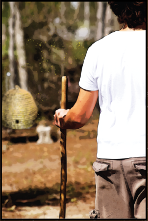 Walk in the Woods Apiary