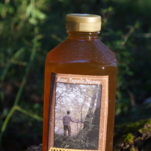 3lb Raw Tupelo Honey