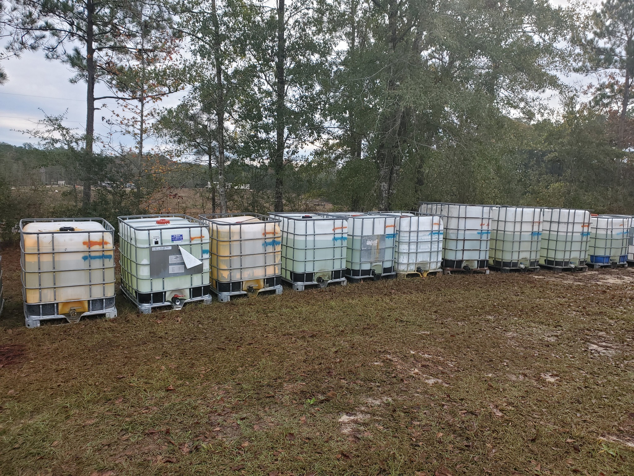 Corn Syrup (5 Gallon Increments)