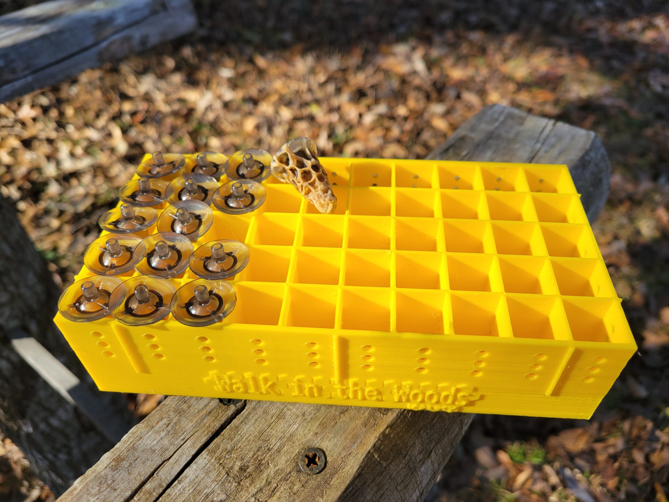 3D Printed 50 Queen Cell Holder