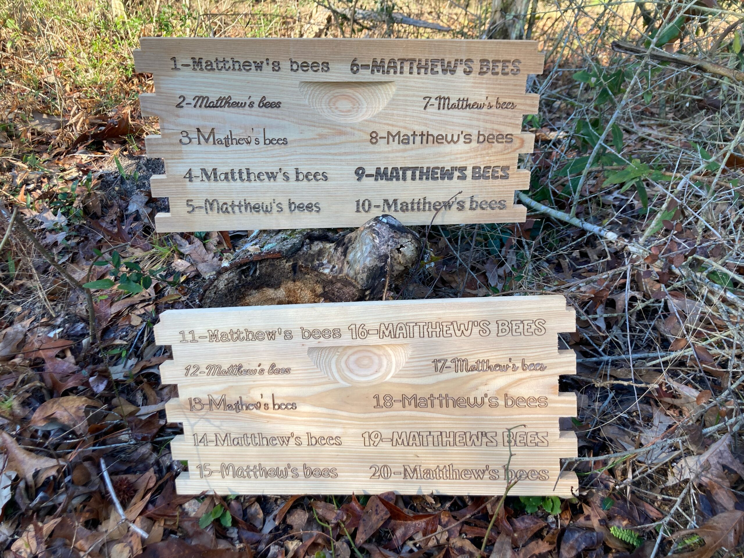 Wood Engraving (Laser) - Image 3