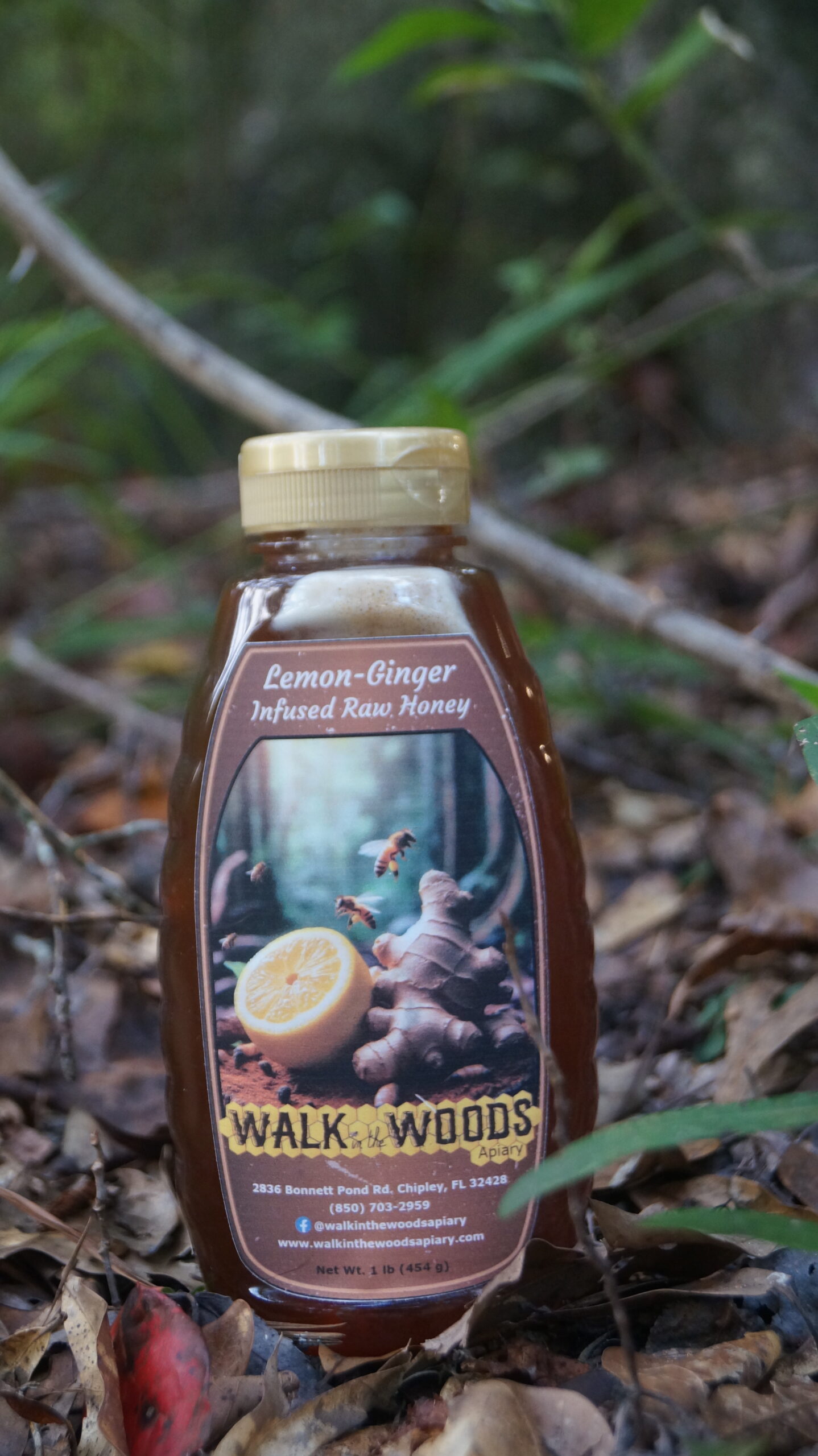1lb Lemon-Ginger Infused Raw Honey