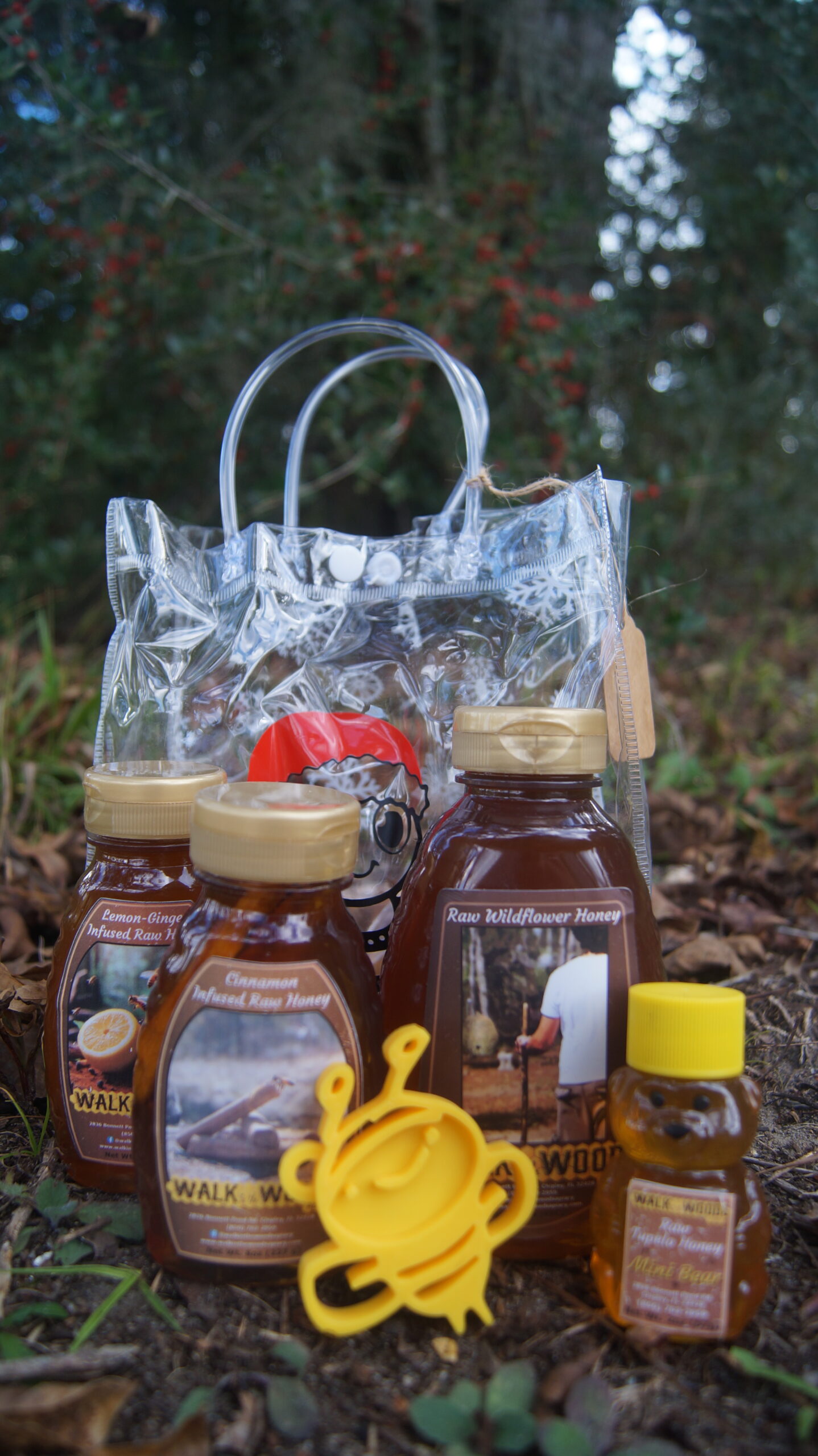 Assorted Honey Gift Bag