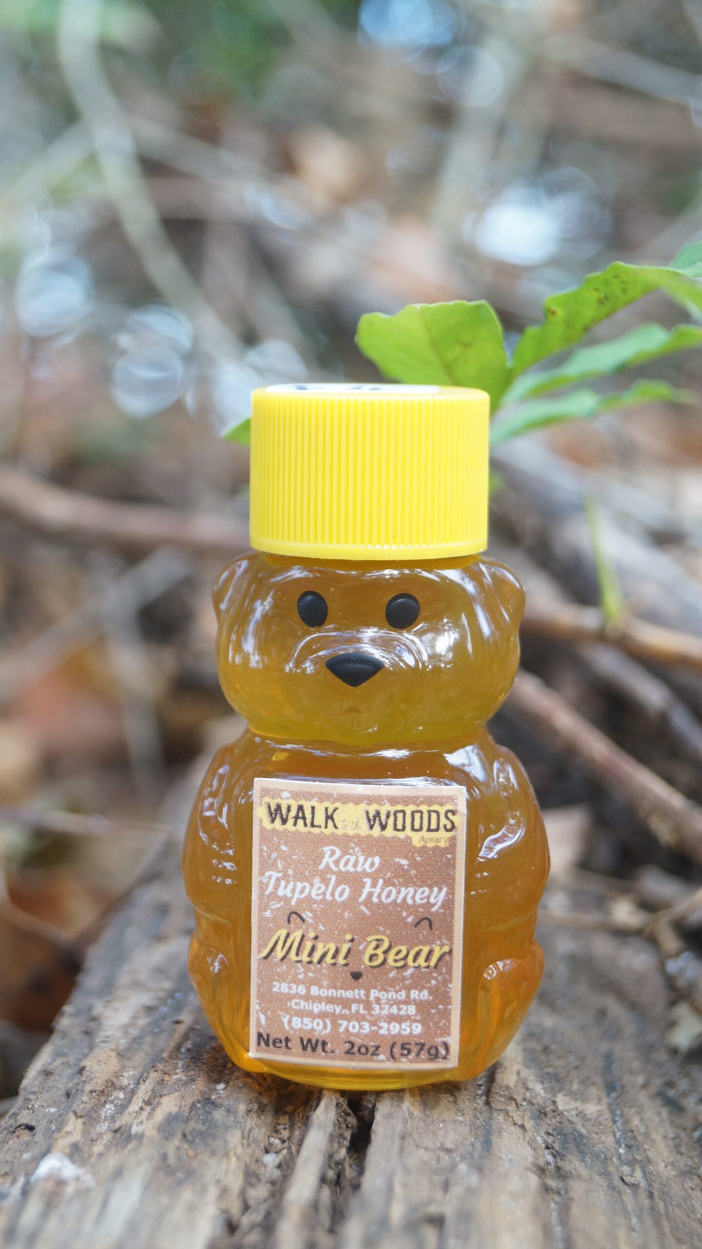 Mini Bear 2oz Raw Tupelo Honey