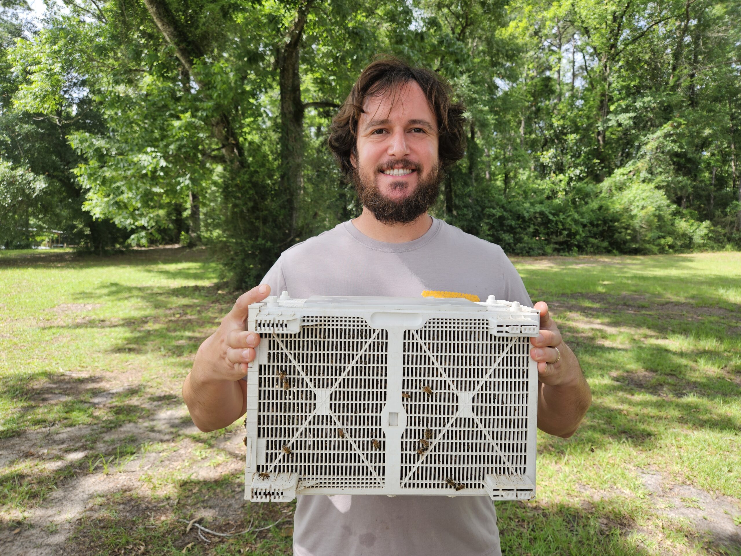3lb Honeybee Package (Shipping Only)